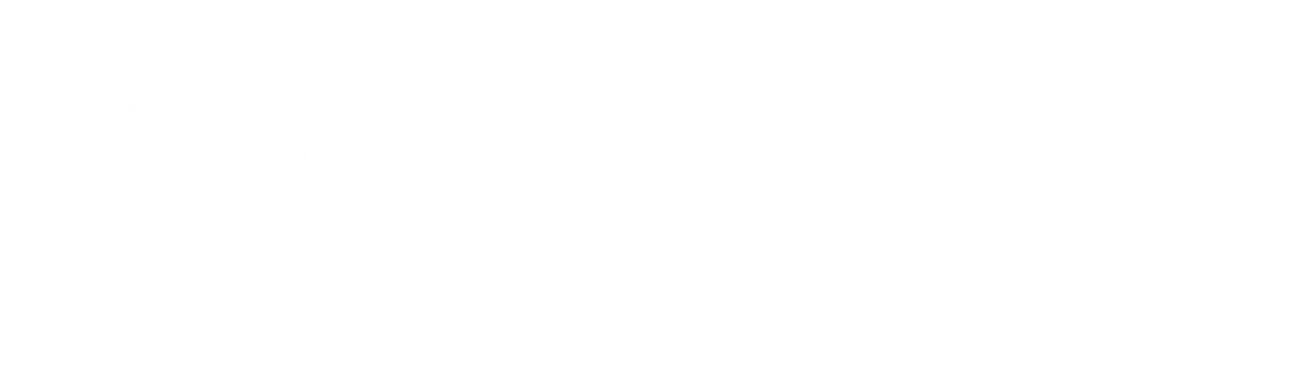 BAMBOO55